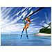 Vacation Isle Beach Party, Nintendo Wii, Festa, E (tutti)  - Foto miniatura 1
